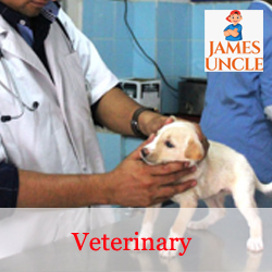Veterinary doctor for animals and birds Mr. Arnab Saha in Kankurgachi